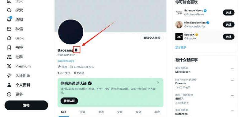如何将推特设置为私密账号：简单步骤指南